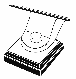 Foot